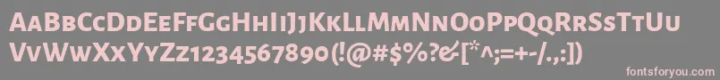 AlegreyasansscExtrabold Font – Pink Fonts on Gray Background