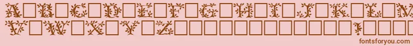 Tenderleafregular Font – Brown Fonts on Pink Background