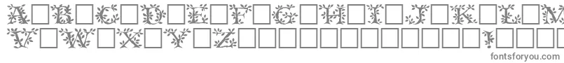 Tenderleafregular Font – Gray Fonts on White Background