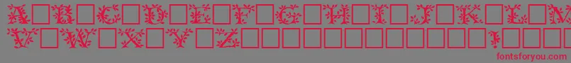 Tenderleafregular Font – Red Fonts on Gray Background
