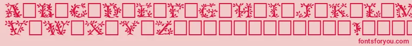 Tenderleafregular Font – Red Fonts on Pink Background