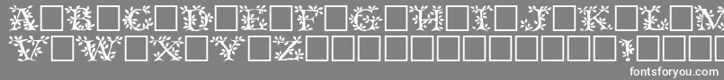 Tenderleafregular Font – White Fonts on Gray Background
