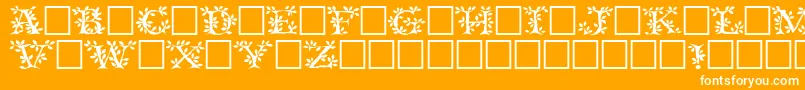 Tenderleafregular-fontti – valkoiset fontit oranssilla taustalla