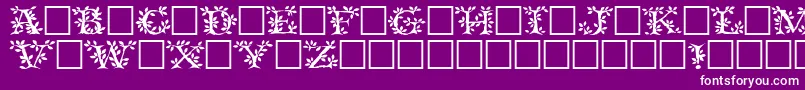 Tenderleafregular Font – White Fonts on Purple Background