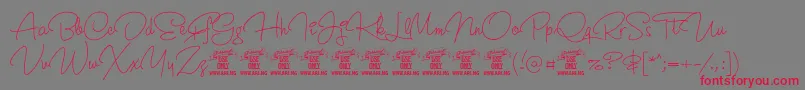 CrunchyPersonalUseOnly Font – Red Fonts on Gray Background