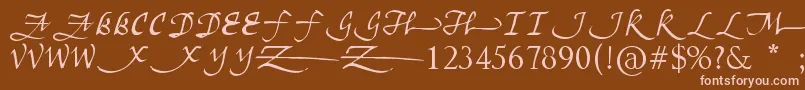 フォントUnscriptedness – 茶色の背景にピンクのフォント