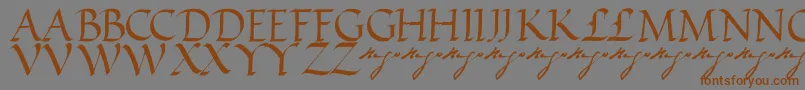 VictorhugoRegular Font – Brown Fonts on Gray Background