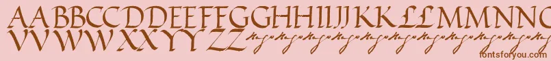 VictorhugoRegular Font – Brown Fonts on Pink Background