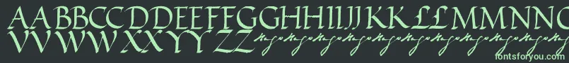 VictorhugoRegular Font – Green Fonts on Black Background