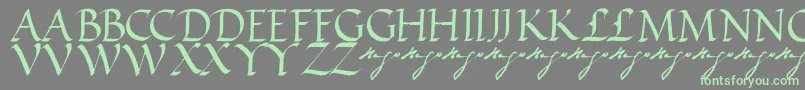 Czcionka VictorhugoRegular – zielone czcionki na szarym tle