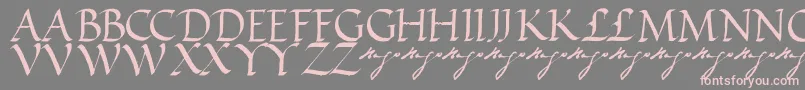 Czcionka VictorhugoRegular – różowe czcionki na szarym tle