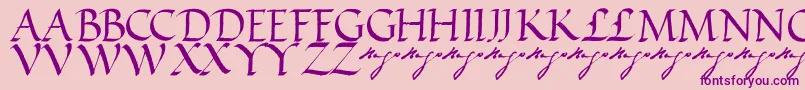 VictorhugoRegular Font – Purple Fonts on Pink Background