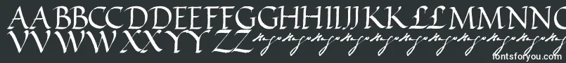 Шрифт VictorhugoRegular – белые шрифты