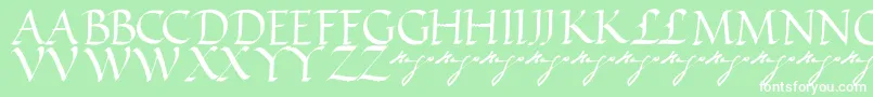 Шрифт VictorhugoRegular – белые шрифты на зелёном фоне