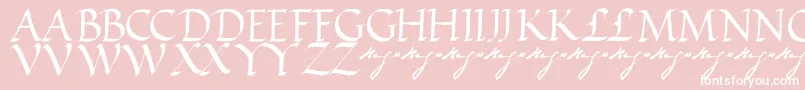 VictorhugoRegular Font – White Fonts on Pink Background