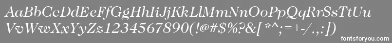 フォントCaslonBookitalic – 灰色の背景に白い文字