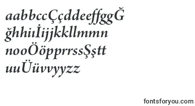 ArnoproSmbditalicsubhead font – turkish Fonts