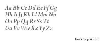 Review of the ArnoproSmbditalicsubhead Font