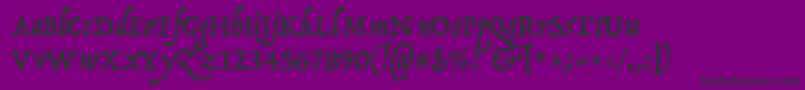 P22OperinaRomano Font – Black Fonts on Purple Background