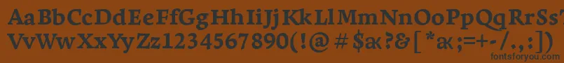 LeksaproExtrabold-Schriftart – Schwarze Schriften auf braunem Hintergrund