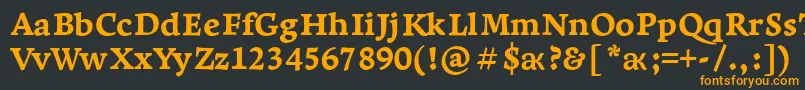 LeksaproExtrabold-Schriftart – Orangefarbene Schriften auf schwarzem Hintergrund