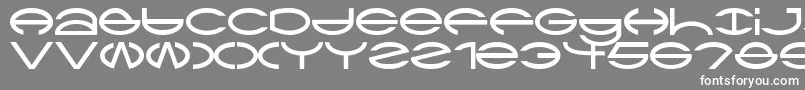 フォントCtypeAoe – 灰色の背景に白い文字