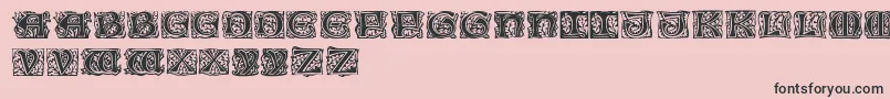 Eichenlaubinitialen Font – Black Fonts on Pink Background