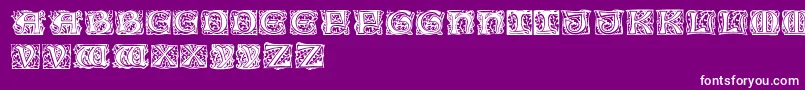 Eichenlaubinitialen Font – White Fonts on Purple Background