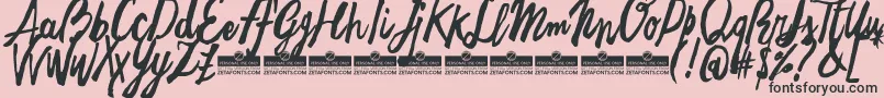 Fonte FreehandBrushTrial – fontes pretas em um fundo rosa