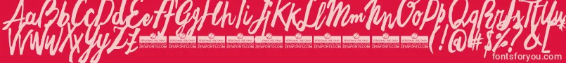 FreehandBrushTrial Font – Pink Fonts on Red Background