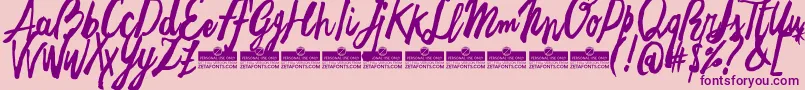FreehandBrushTrial Font – Purple Fonts on Pink Background