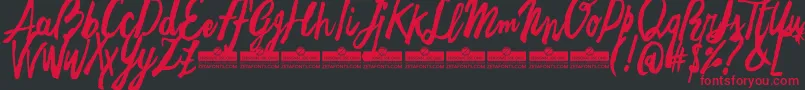 FreehandBrushTrial Font – Red Fonts on Black Background