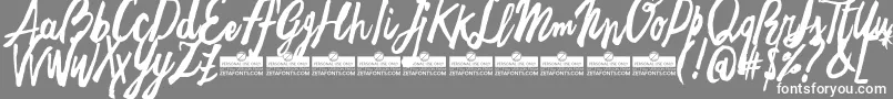 FreehandBrushTrial Font – White Fonts on Gray Background