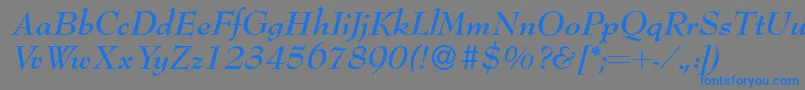 Bernhardmodern Bolditalic Font – Blue Fonts on Gray Background
