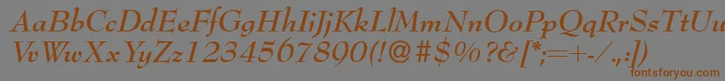 Bernhardmodern Bolditalic Font – Brown Fonts on Gray Background