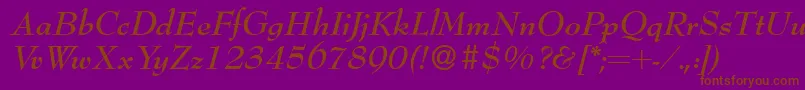 Bernhardmodern Bolditalic Font – Brown Fonts on Purple Background