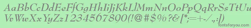 Bernhardmodern Bolditalic Font – Gray Fonts on Green Background