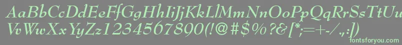 Bernhardmodern Bolditalic Font – Green Fonts on Gray Background