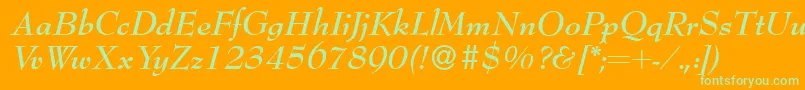 Bernhardmodern Bolditalic Font – Green Fonts on Orange Background
