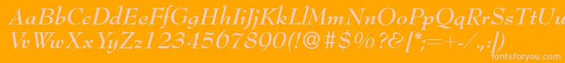Bernhardmodern Bolditalic Font – Pink Fonts on Orange Background