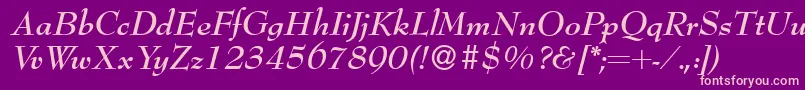Bernhardmodern Bolditalic Font – Pink Fonts on Purple Background