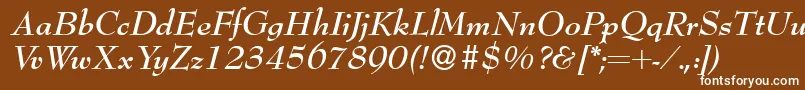 Bernhardmodern Bolditalic Font – White Fonts on Brown Background
