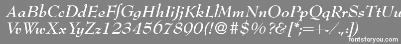 Bernhardmodern Bolditalic Font – White Fonts on Gray Background