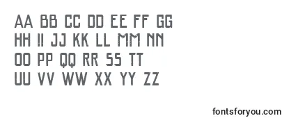 Обзор шрифта Vtkssalgrosso