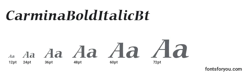 Размеры шрифта CarminaBoldItalicBt