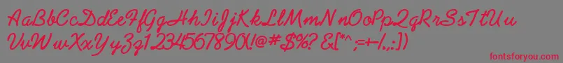 AbrazoscriptsskBold Font – Red Fonts on Gray Background