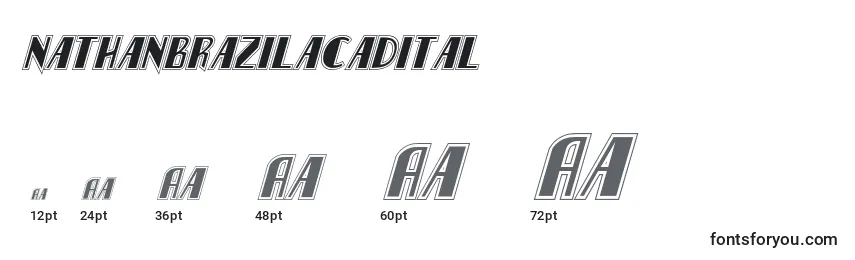Nathanbrazilacadital Font Sizes