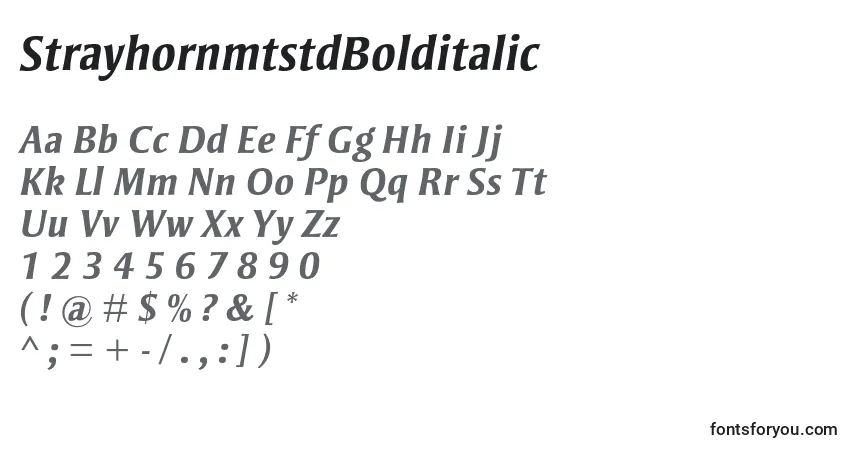 Шрифт StrayhornmtstdBolditalic – алфавит, цифры, специальные символы