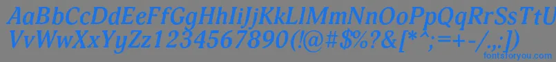 フォントAdoniscBolditalic – 灰色の背景に青い文字