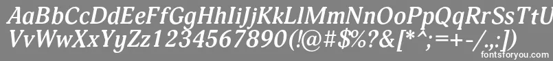 フォントAdoniscBolditalic – 灰色の背景に白い文字